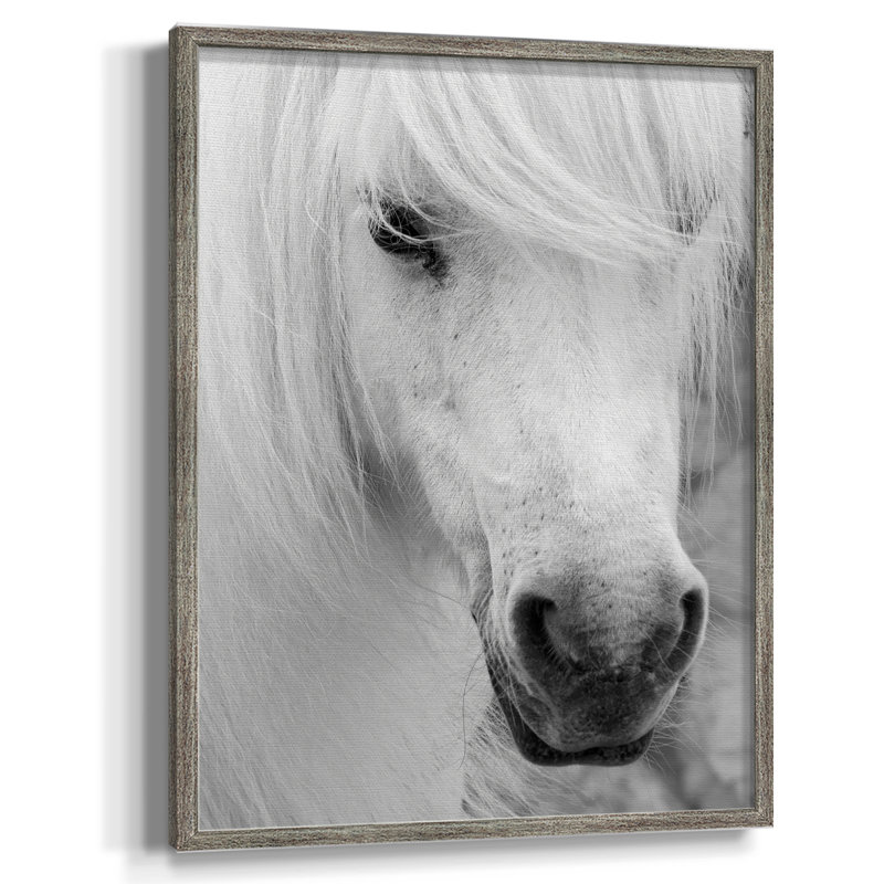 «Island Pony I», reproduction encadrée - bois massif, H 21 po x l 17 po