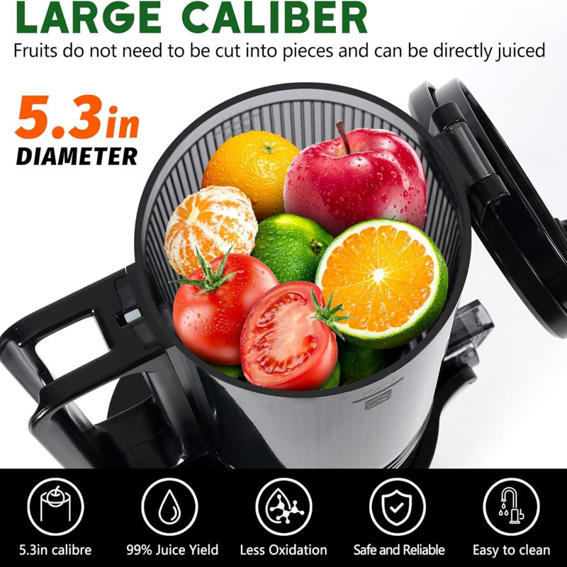Cold Press Juicer,Slow Masticating Juicer Machines, Black