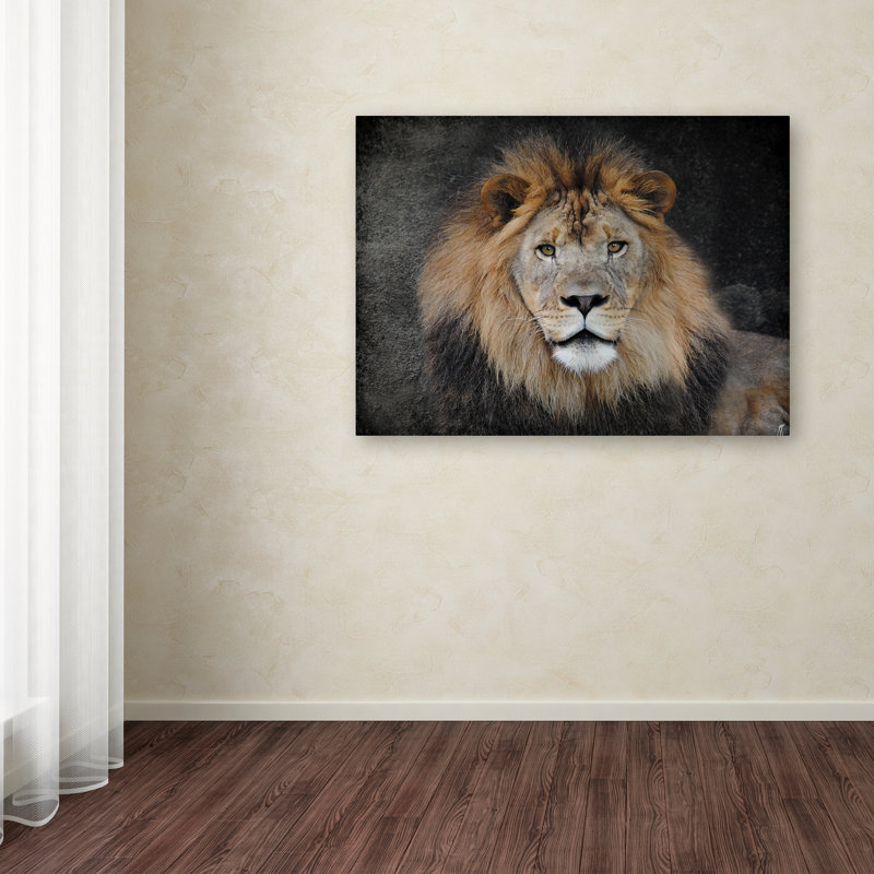 'Male Lion Portrait 1' Graphic Art Print on Wrapped Canvas, 18" H x 24" W
