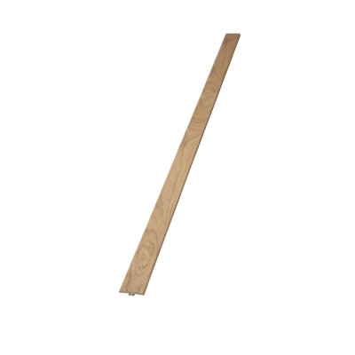 Vinyl 1.77'' W x 94.5'' L T-Molding