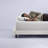 Casper Two Pack Foam Pillow-61481360