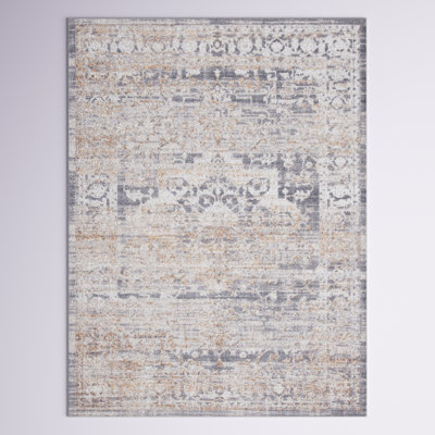 Amilie Oriental Grey/Gold Area Rug