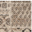 Tapis beige / brun clair / brun Leonor-376039707