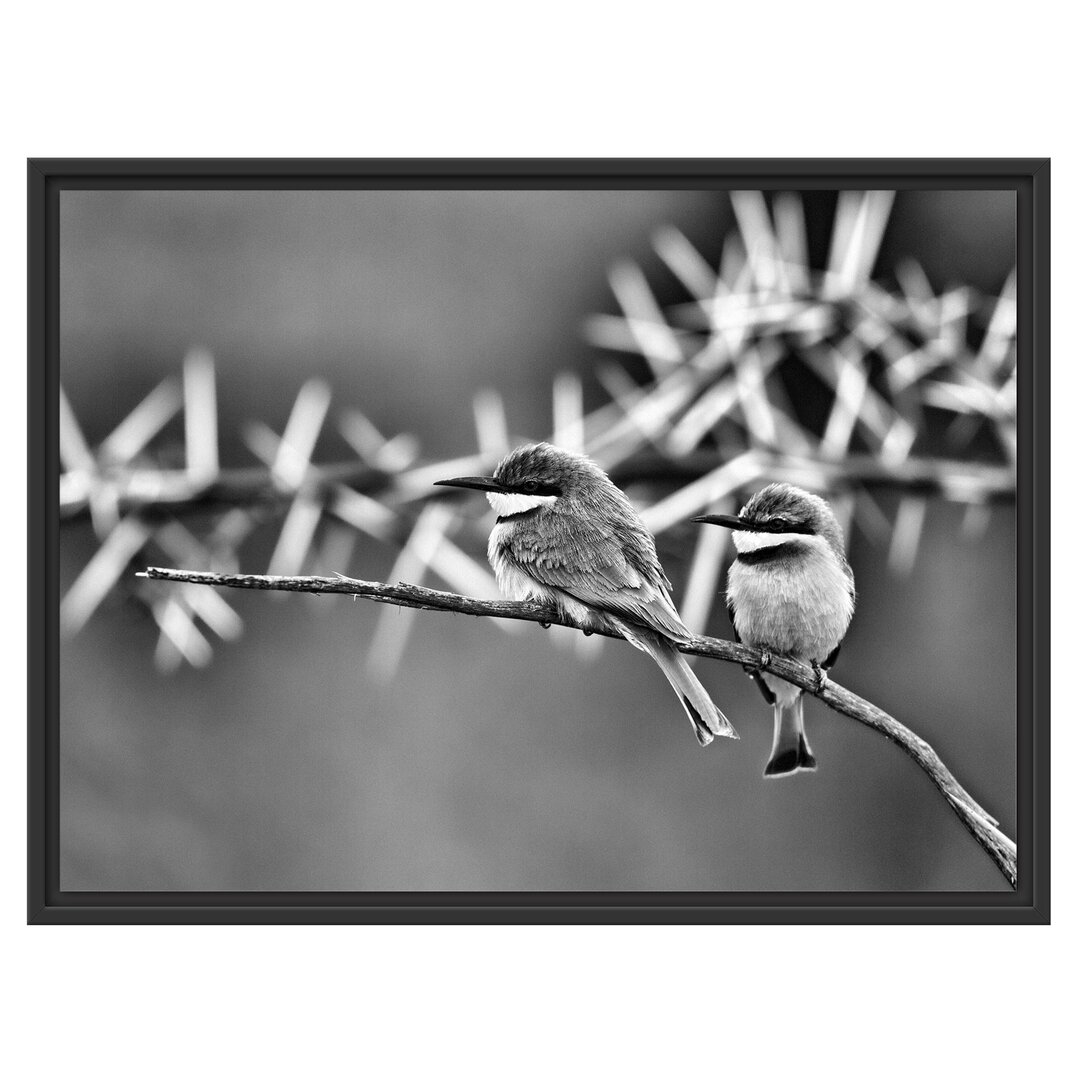 Gerahmtes Wandbild exotische Vögel auf Ast