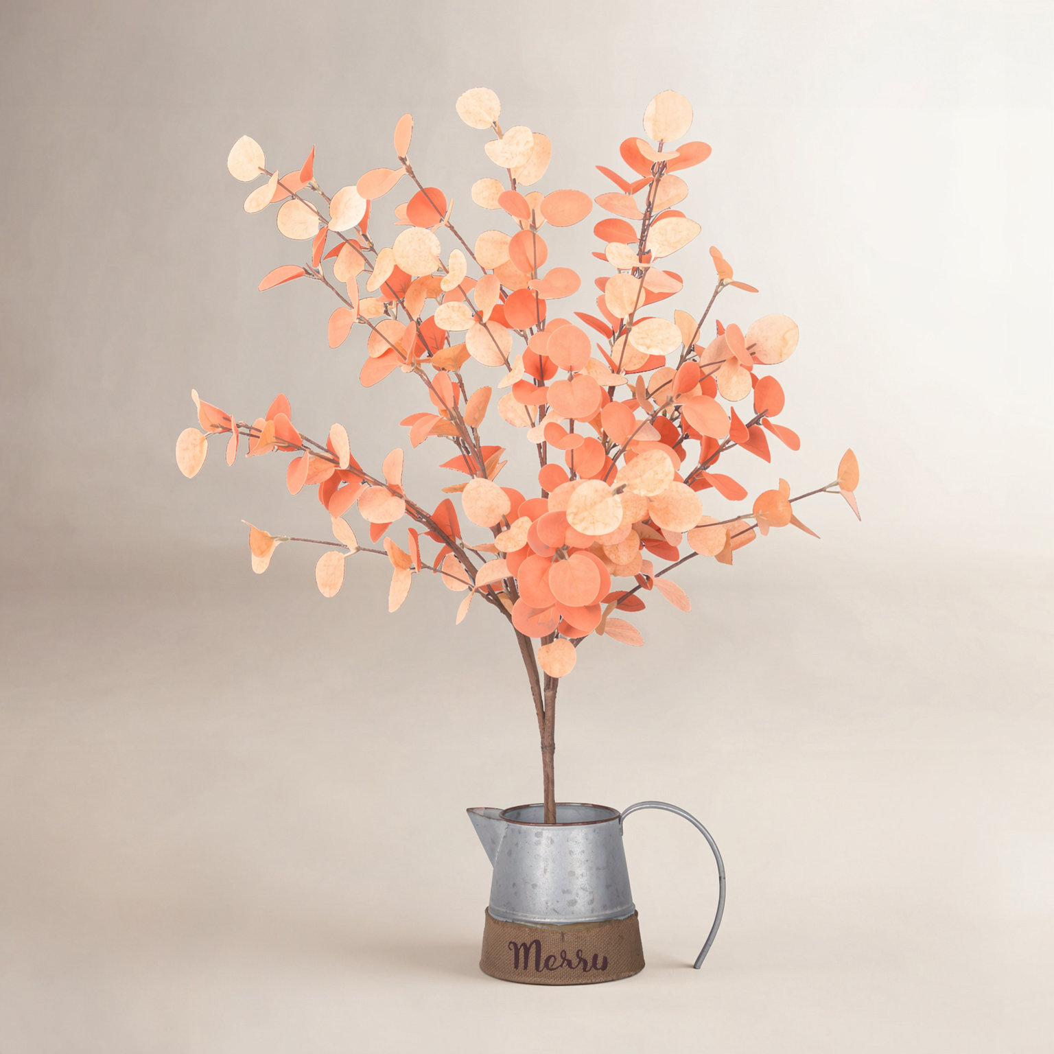 Eucalyptus Floral Stems, Orange