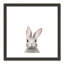 Art encadré en lapins forestières-48163432-48169567