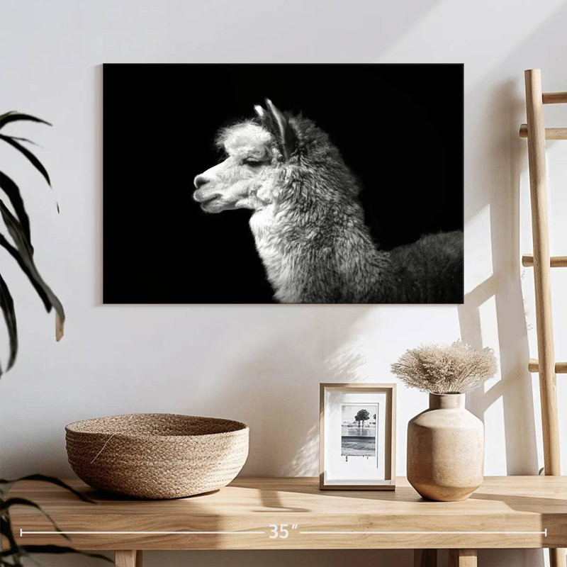 Brampt Noir Llama, 20" H x 30" W