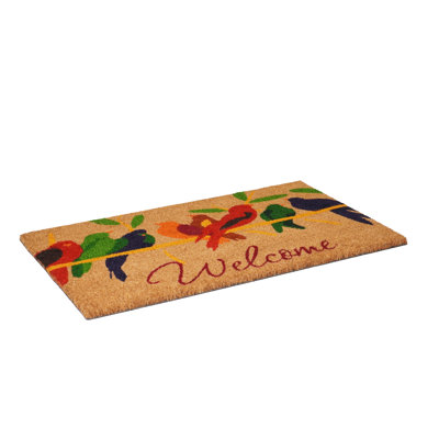 Tapis d'entrée antidérapant Arsenovic Welcome 29 po x 17 po