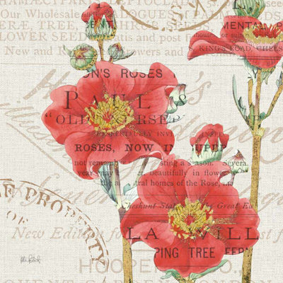 Bibliothèque Botanical V