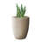 Planter-965475955