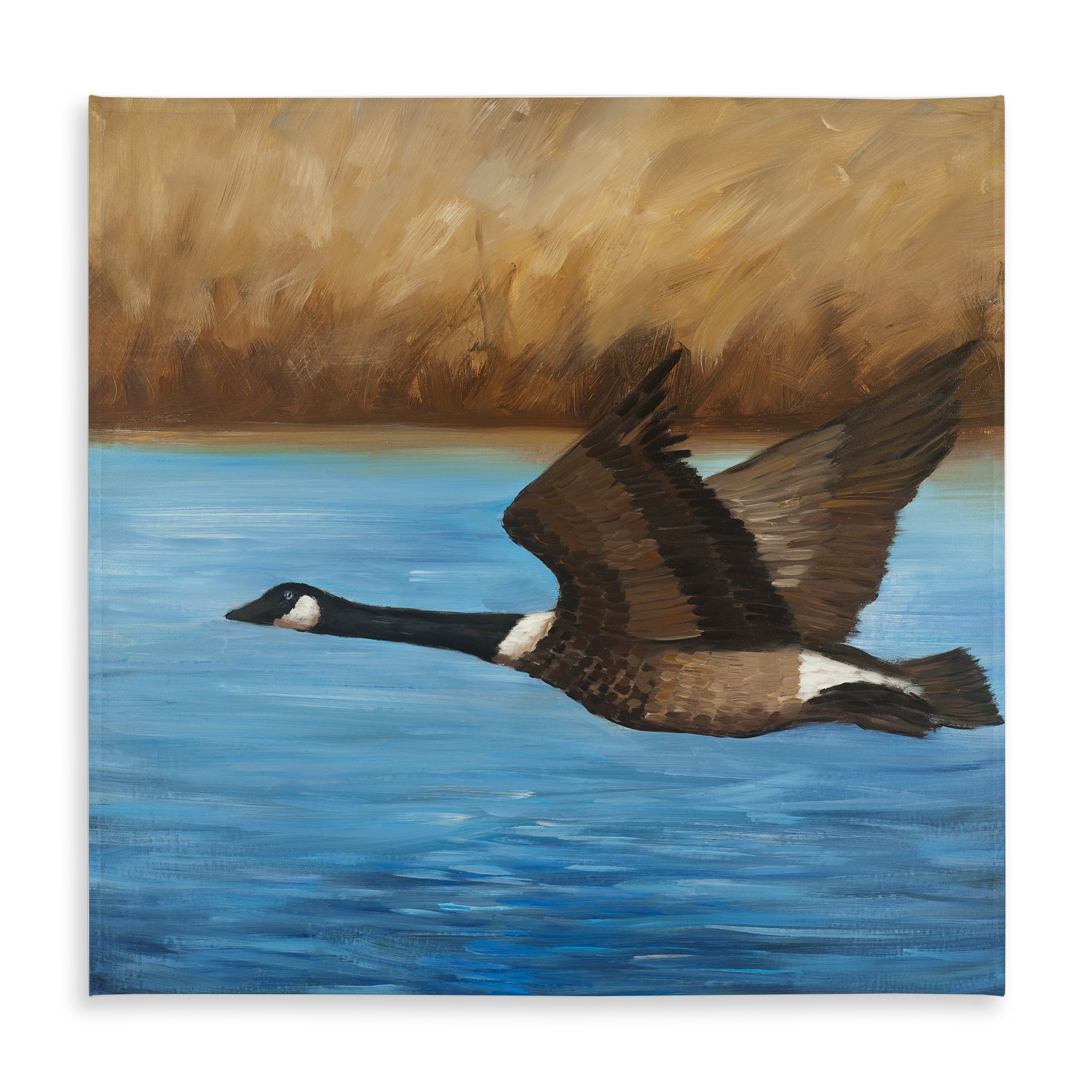 Begin Edition International Inc. Canada Goose Coastal Wildlife ...