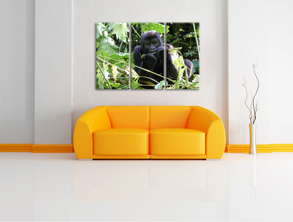 3-tlg. Leinwandbilder-Set Gorilla beim Fressen, Fotodruck