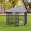 Grand chenil pour chien