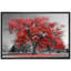 Arbre rouge sur fond de parc noir et blanc-96384564-96384573
