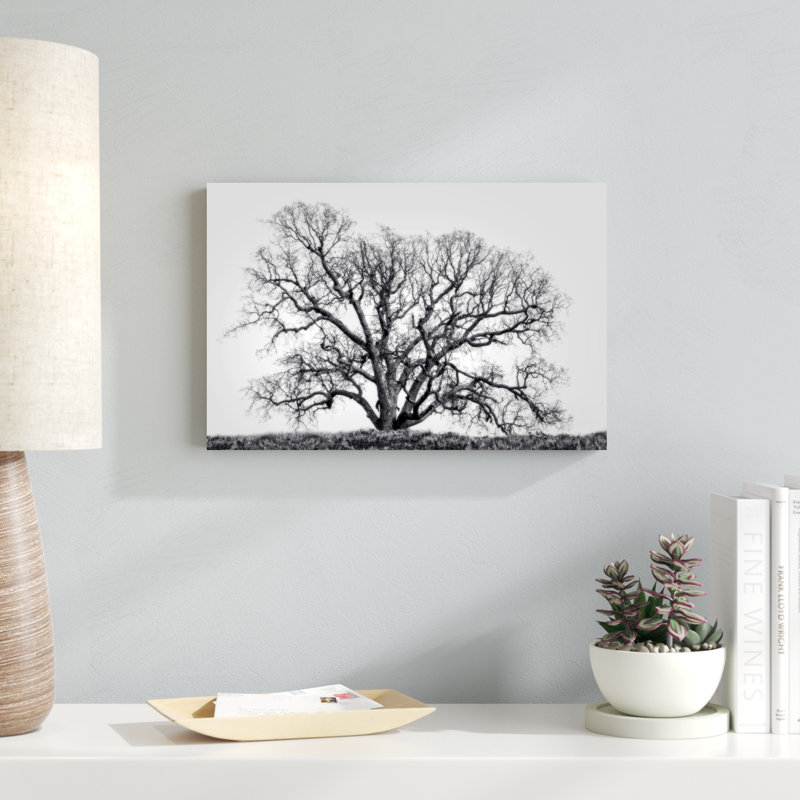 Grand Oak Tree I par Rachel Perry - Photographie sur toile tendue, H 12 po x l 18 po x P 1,25 po