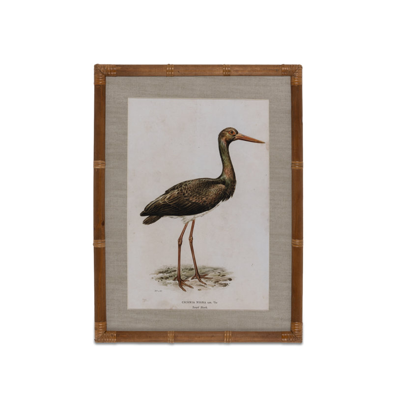 «Wading Bird Prints», ensemble de 4