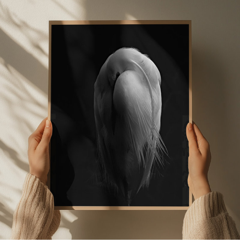 Wrapped Canvas Print, 76.2 cm H x 50.8 cm W