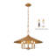 Luminaire suspendu 5 pouces Tammi 22 pouces-1055006601-1055006600