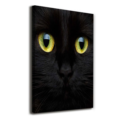 Cat's Eyes - Wrapped Canvas Print