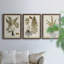 Fern Botanical IV - Ensemble de 3 peintures sur toile encadrées-1362442883-1362442894