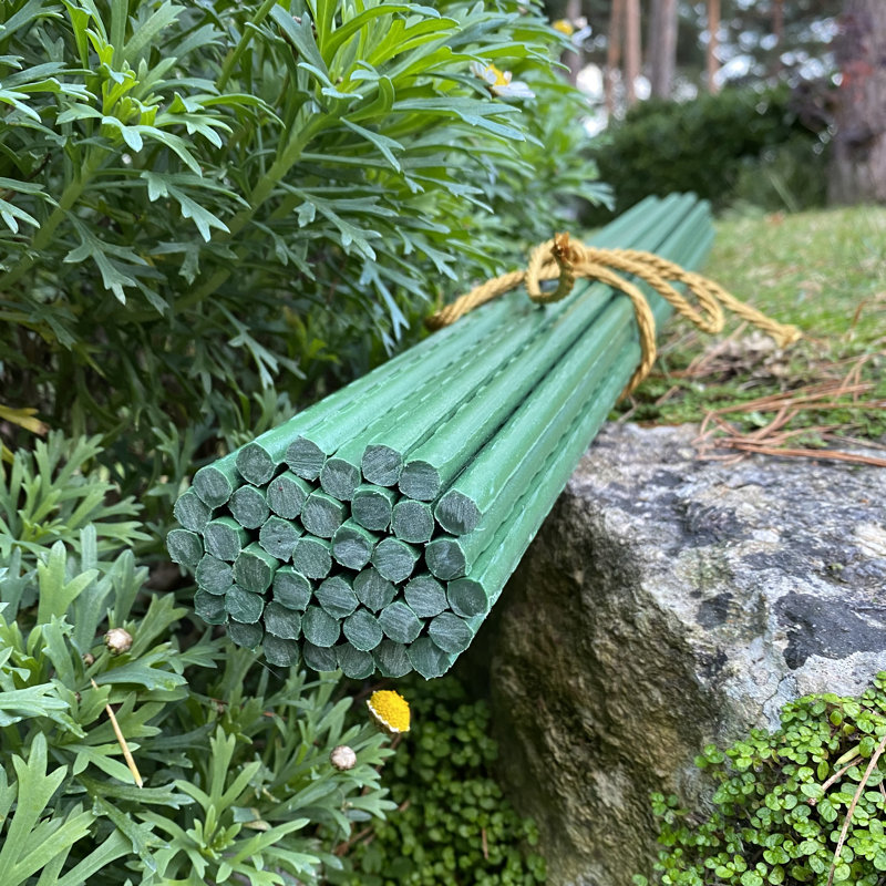 Chadd Plant Support, 120cm H x 1.1cm W x 1.1cm D