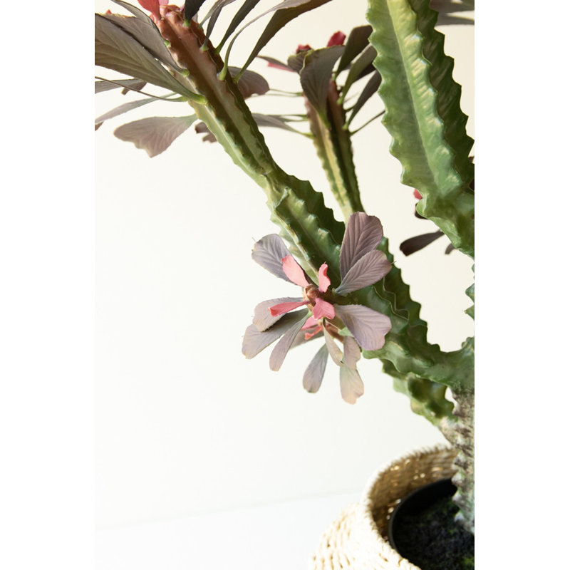Cactus colonne artificiel Kalalou
