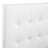Upholstered Headboard-23178289-125400569
