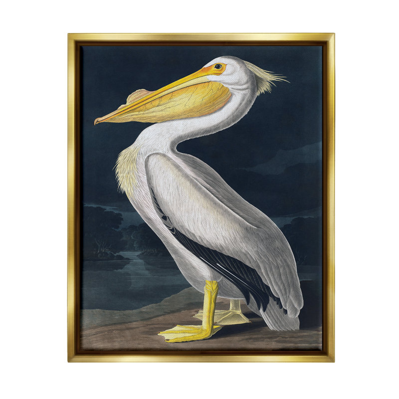 «Highland Dunes Pelican On Night Shore», art mural encadré sur toile flottante par Incado, H 20 po x l 16 po x P 1,7 po