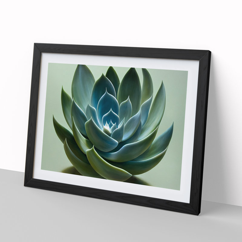Graceful Succulent Plant - Single Picture Frame Print, Black Framed, 46cm H x 64cm W x 2cm D