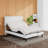 Channahon Adjustable Bed with Wireless Remote-457190386
