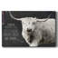 Toile tendue Longhorn