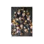 Ornament String Christmas Lights - Warm White - Clear Wire-232780948