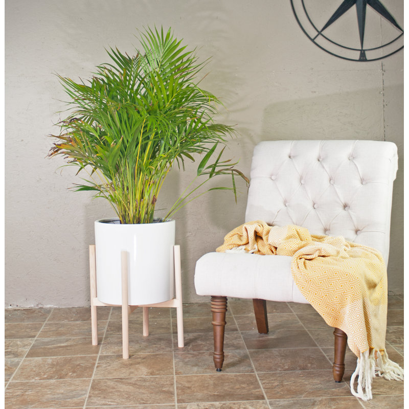 Handmade Pot Planter, White/Ash Natural, 23" H X 15.5" W X 15.5" D