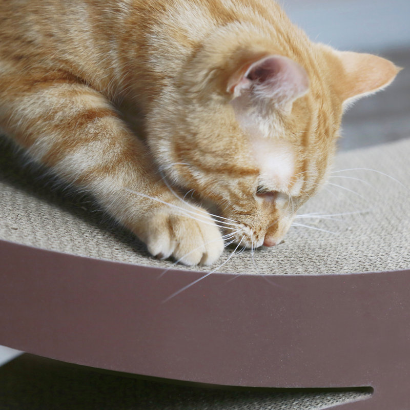 Grattoir pour chat Jessie Ipet Deluxe