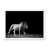 Cadre photo blanc