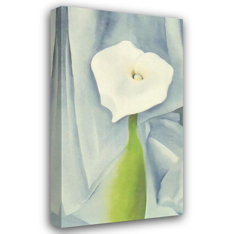 Calla sur fond gris, 1928 MCG-PF1067, H 24 po x l 13 po