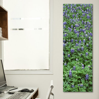 High Angle View of Plants, Bluebonnets, Austin, Texas, États-Unis - reproduction de photo sur toile tendue