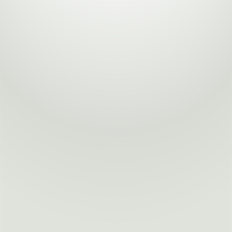 Chin-Chin Solid Wood Dining Chair, White/Oak Nature