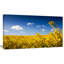 «Yellow Canola Field» - reproduction de photo sur toile tendue-18438001