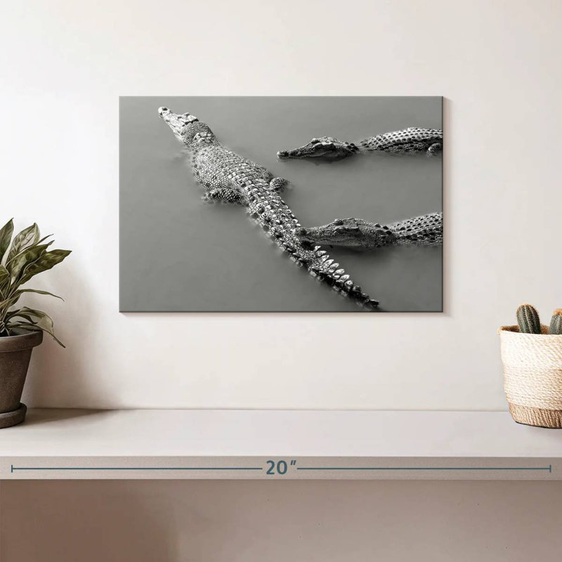Crocodile Trio, 8" H x 12" W