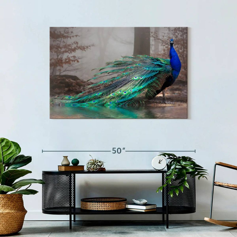 Élégant paon bleu sur toile, H 30 po x l 45 po