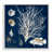Coastal White Framed Giclee