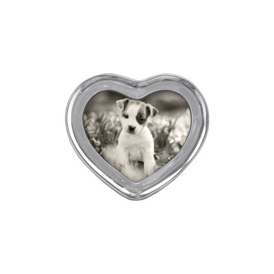 Metal Picture Frame