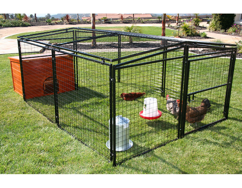 Enclos pour chien/poules en fils soudés Francesca