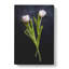 Two White Tulips - Wrapped Canvas-56641821