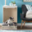 Canapé pour chien Nellis Murphy-31168702-31168700
