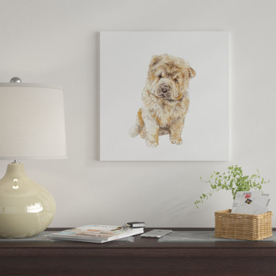 Chow chow