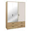 Rajish Manufactured Wood Wardrobe