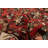 Clemson Red Rug 2'4" x 9'3"