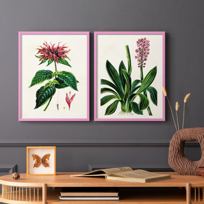 AntiqueFloralFolioI - reproduction encadrée de qualité supérieure - prête à être accrochée - aucun clou requis - aucun clou requis